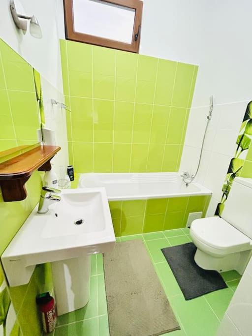 Apartmán Hidden Gem In The Old Town Temešvár Exteriér fotografie