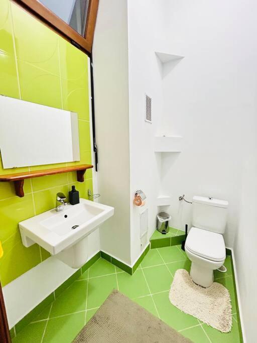 Apartmán Hidden Gem In The Old Town Temešvár Exteriér fotografie